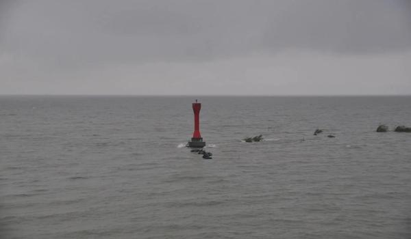 三角洲行动官方地图工具下载地址（给我三角洲行动官方地图工具下载链接）