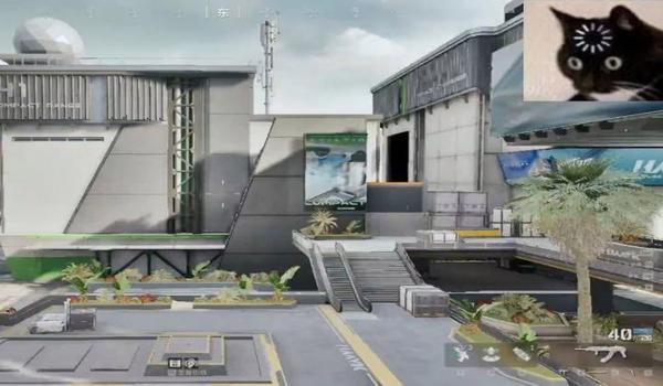 三角洲手游外挂视角（提供三角洲手游外挂视角的视频）